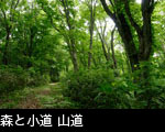 森と小道 山道