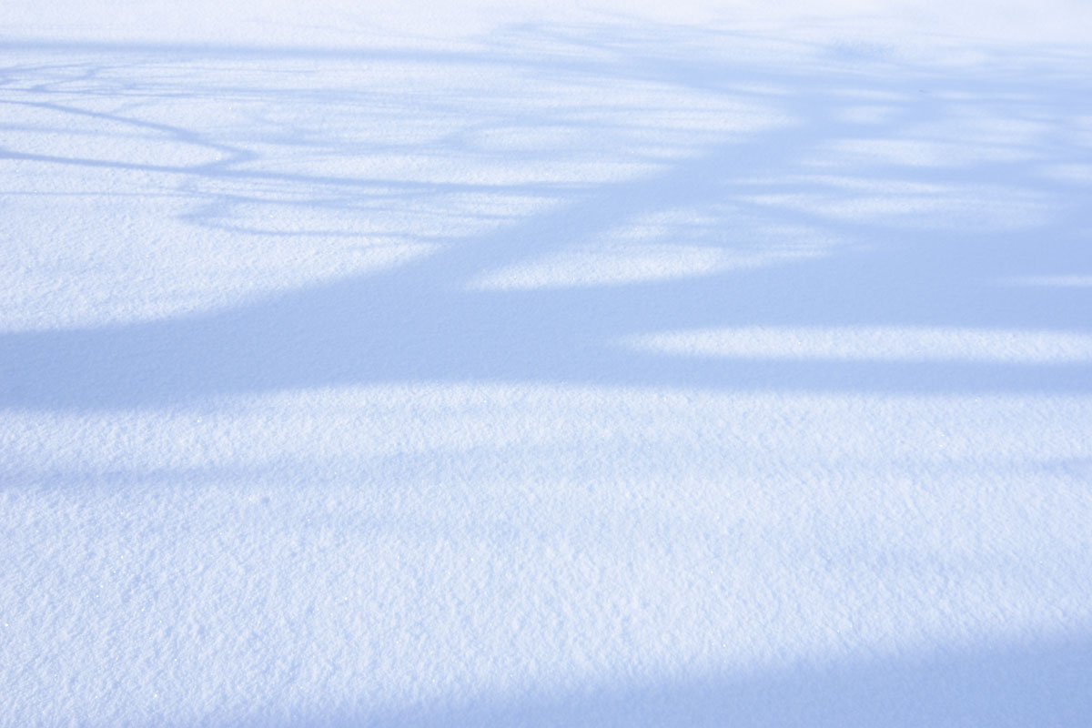 e48-5239　雪面 木の影