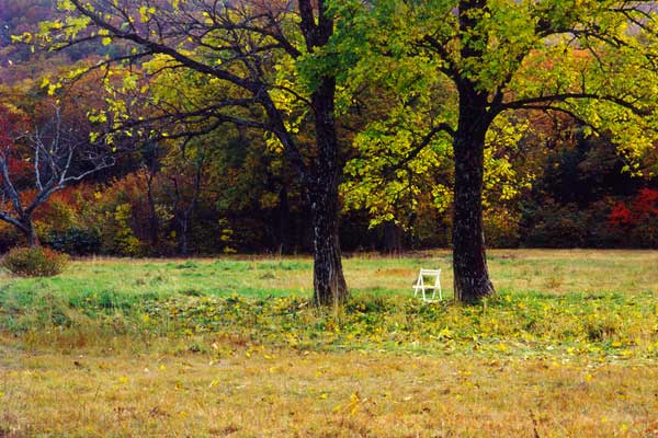 秋の紅葉した高原と白い椅子 画像 無料写真素材 フリー素材