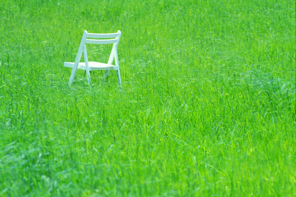 草原と白い椅子 初夏爽やかなイメージ 画像