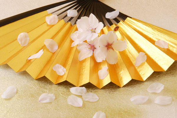 桜の花と花びら 金の扇子 祝い日本のイメージ 画像5 無料写真素材