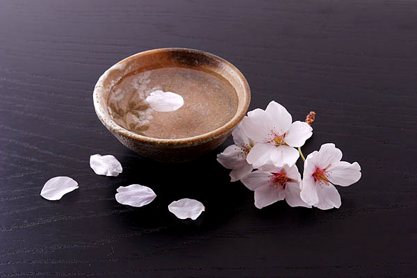 桜の花と花びら 盃 画像2 花見酒イメージ 無料写真素材 フリー写真素材