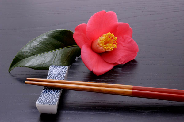 椿の赤い花と箸 画像 無料写真素材 フリー写真素材