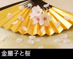 桜の花と花びら 金の扇子 祝い日本のイメージ