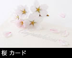 桜 カード