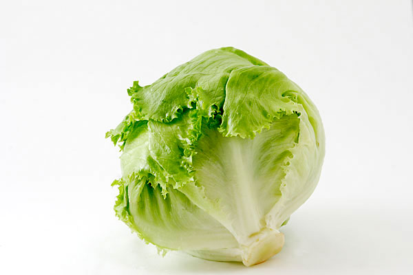 レタス 画像 野菜 無料写真素材 フリー