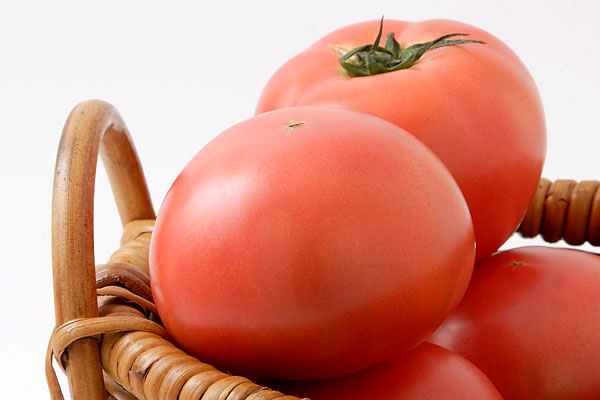 トマト かごに入った 野菜素材 フリー写真素材