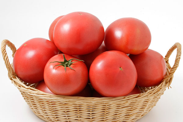 トマト 集合 画像4 野菜の素材 無料写真素材 フリー