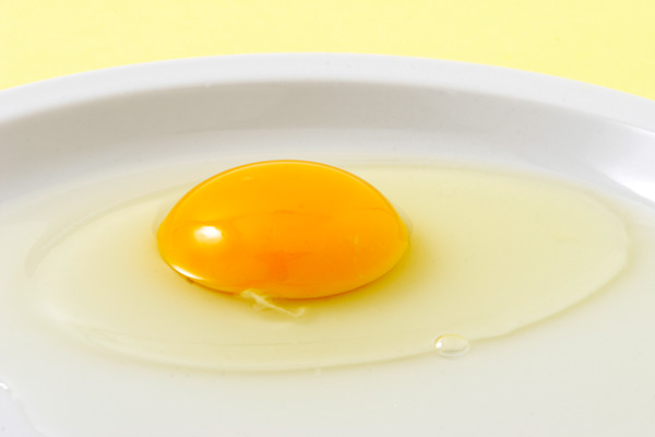 生卵 鶏卵 画像1 食の素材 無料写真素材 印刷広告デザイン素材 花ざかりの森