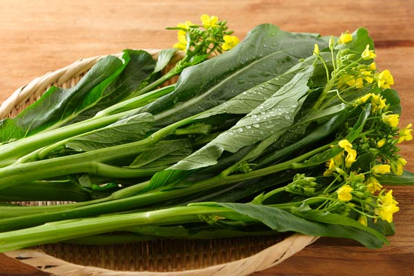 アスパラ菜 野菜 画像2 フリー写真素材