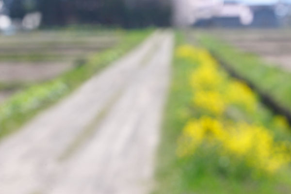春、田んぼの道 農道 画像 無料写真素材 フリー写真素材