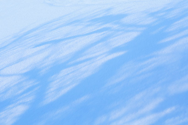 雪面に写った木の陰 水色 画像 無料写真素材 