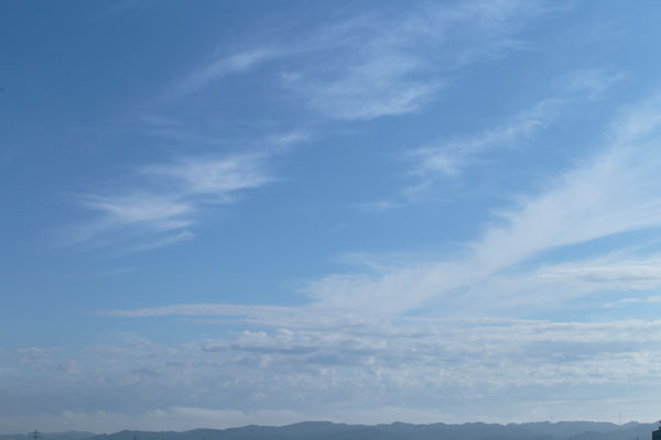 朝の空 雲 3683 画像 フリー写真素材「花ざかりの森」