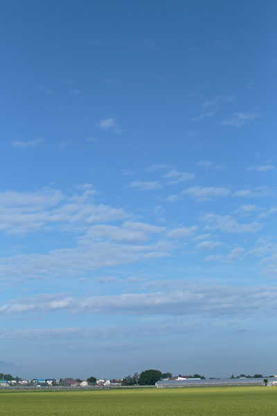 早朝の青空 西側 縦 無料画像 フリー写真素材
