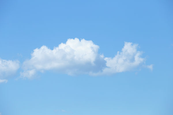 青空 雲 4157　フリー画像 無料写真素材「花ざかりの森」