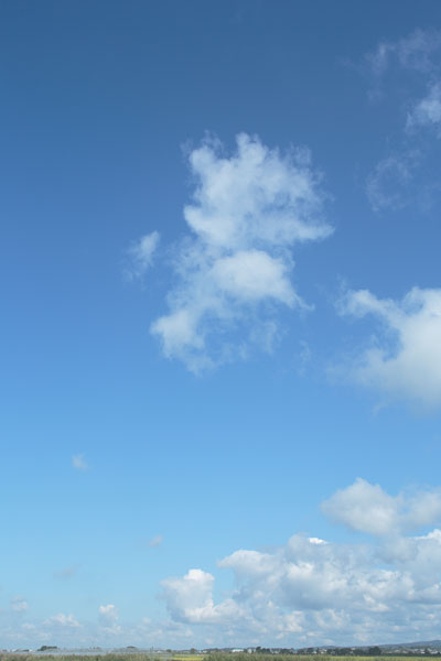 青空と雲 画像 4282 縦位置の画像 合成素材 無料写真素材「花ざかりの森」