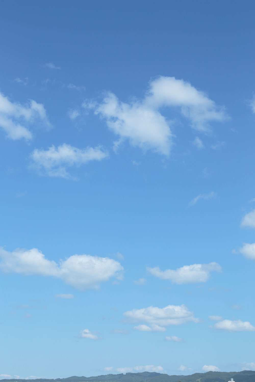 I78l 4705 青空と雲 縦画像 花ざかりの森