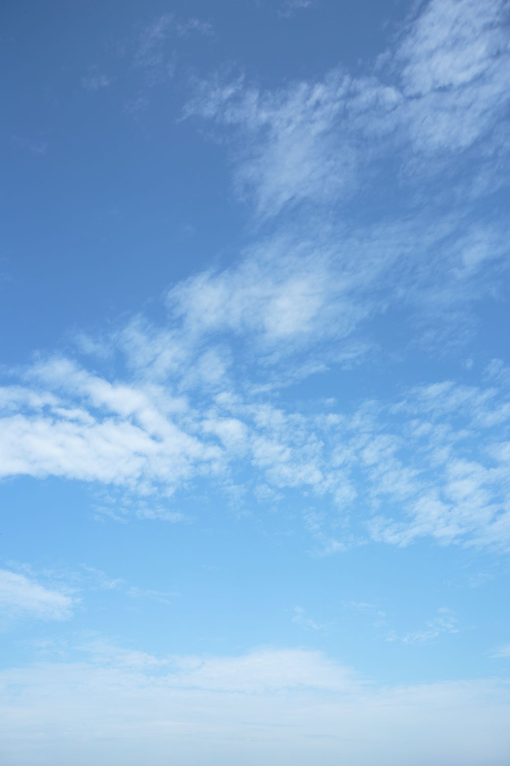 I78l 47 青空と雲 縦画像 縦画像 花ざかりの森