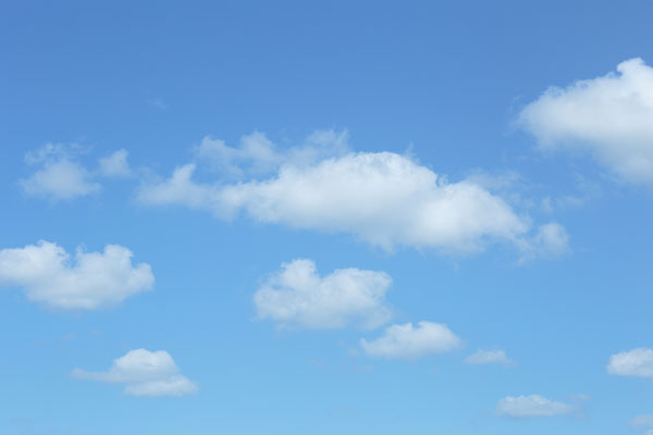 青空と雲 画像 合成素材 4659フリー写真素材 「花ざかりの森」　