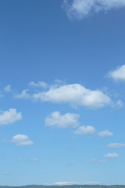 青空と雲 画像 4661 縦の画像 無料写真素材「花ざかりの森」