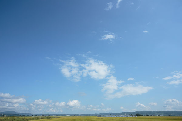 青空と雲 画像 合成素材 4725 無料写真素材 フリー写真素材 「花ざかりの森」