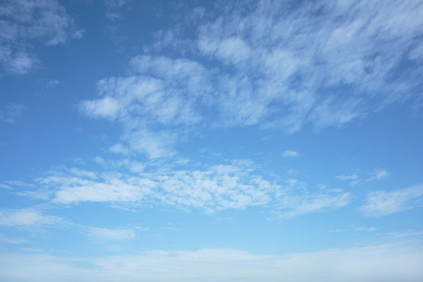青空と雲 画像 合成素材 4820 無料写真素材 「花ざかりの森」