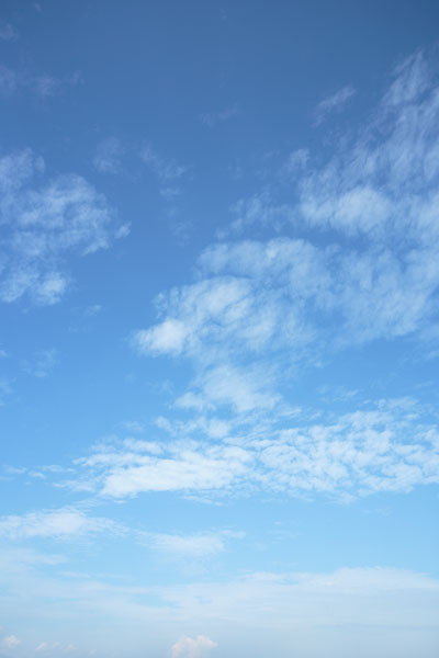 青空と雲 画像 4815 43 縦の画像 フリー写真素材 花ざかりの森
