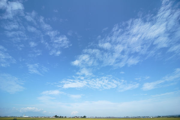 青空と雲 画像 合成素材 4820 無料写真素材 「花ざかりの森」