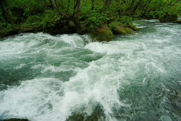 川 渓流 激流の水面 川面 泡立つ流れ 画像 無料写真素材 フリー
