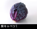 紫キャベツ1