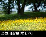 黄色い花と木立1
