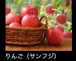 りんご（サンフジ）