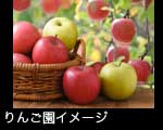 リンゴ 籐のかご りんご園