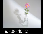 花・影・瓶 2