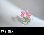 花イメージ 光と影3