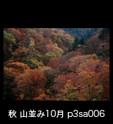 世界自然遺産「白神山地」 紅葉 黄葉の山並み　10月　p3sa006　