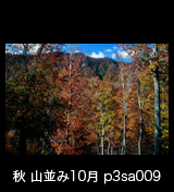世界自然遺産「白神山地」 紅葉 黄葉の山並み　10月　p3sa009