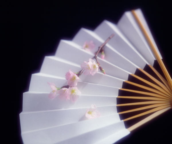 白い扇子 梅の一枝 背景黒 日本 和風 イメージ画像9 フリー写真素材