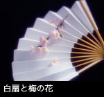 無料写真素材 ストックフォトライブラリー 白の扇子と梅の花、日本、和風、和のイメージ