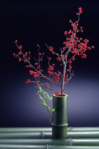 正月 赤い実 南天 竹 日本調 和風 和のイメージ 無料写真素材